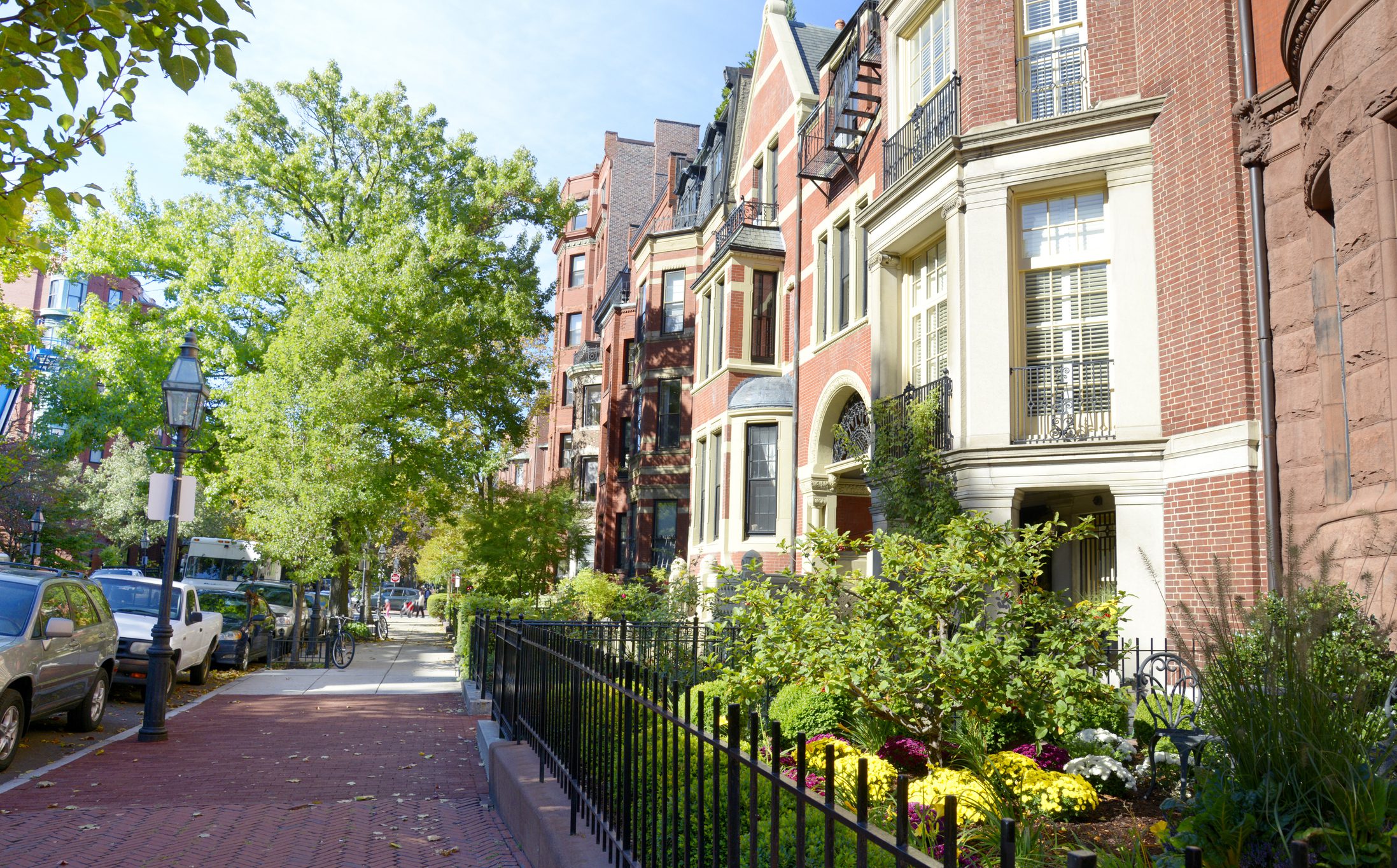 Tree-lined street with charming townhouses